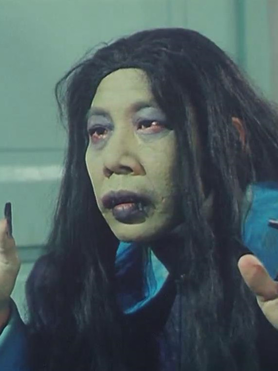 古惑仔之洪兴十三妹