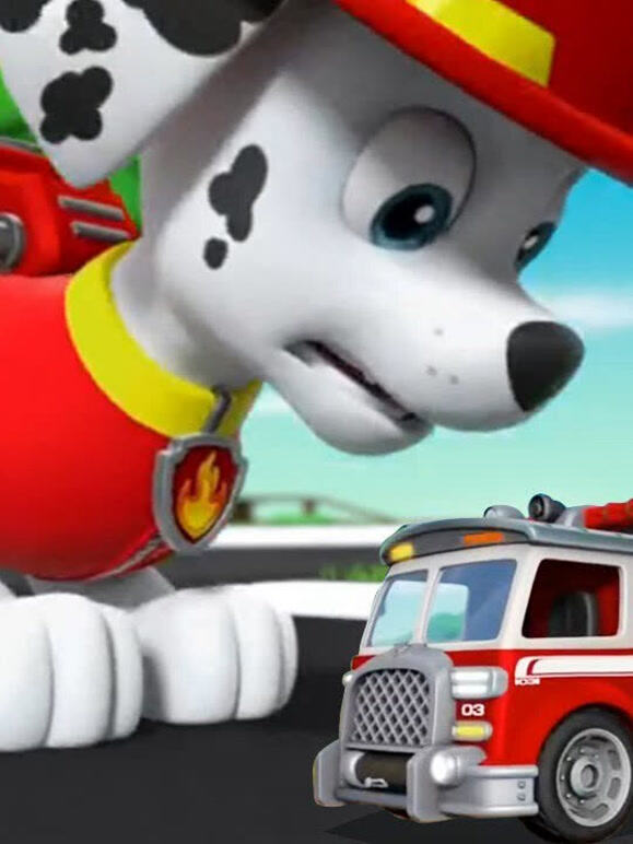 汪汪队立大功趣味益智儿童玩具