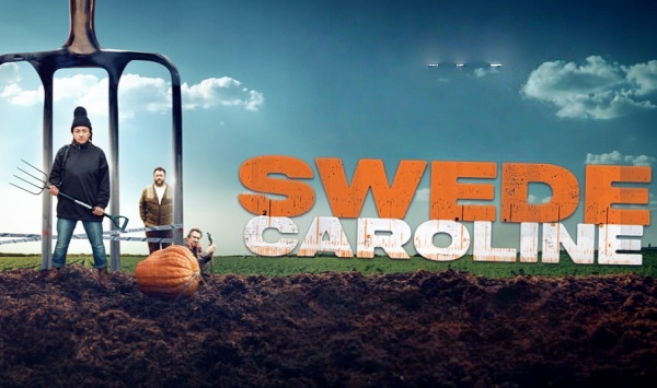 种甘蓝的卡洛琳