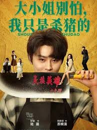 杀猪神医，大小姐别慌