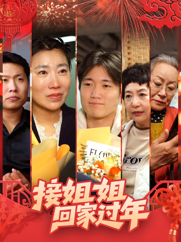 接姐姐回家过年