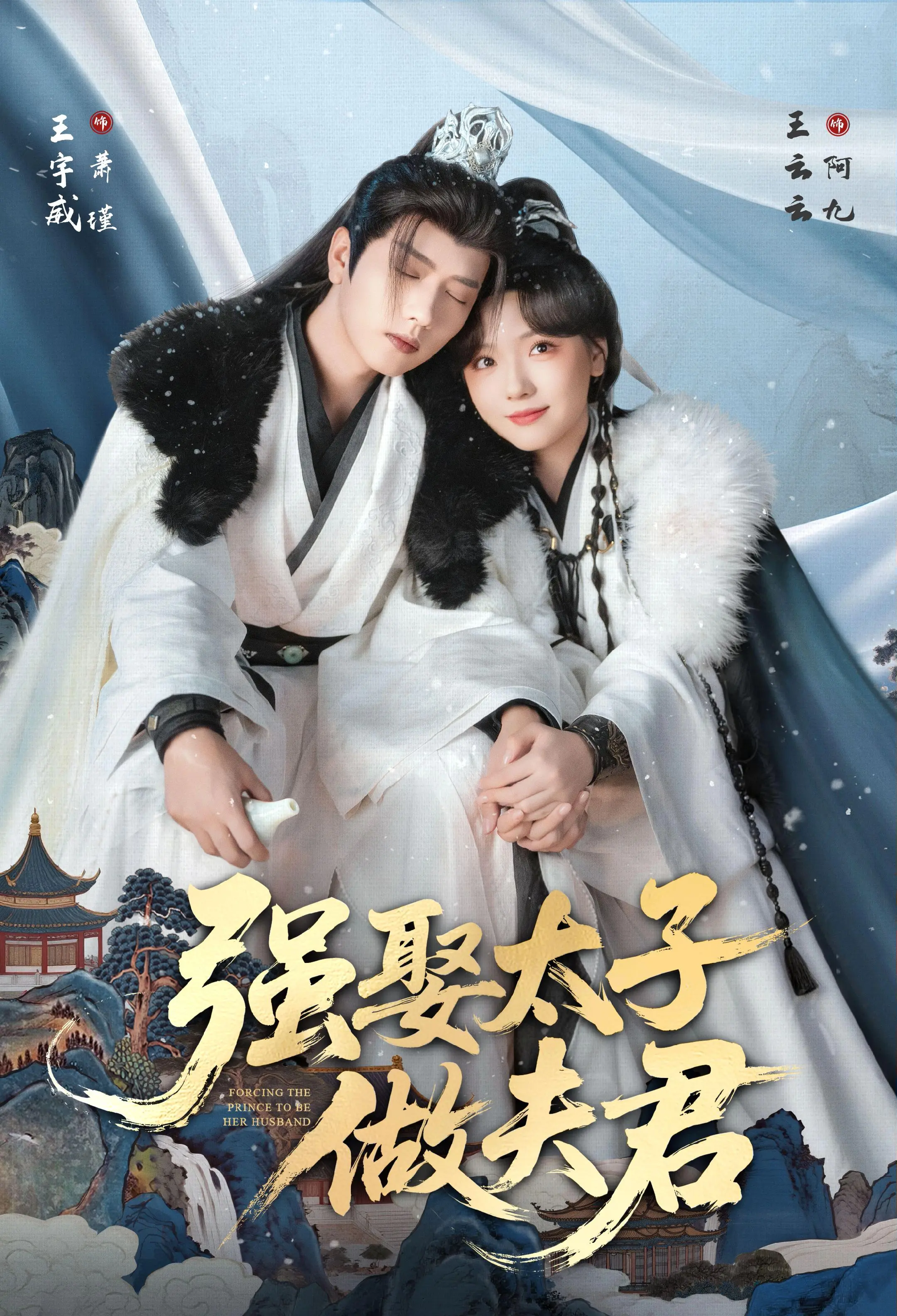 强娶太子做夫君