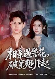 相亲遇警花，破案爽到飞起