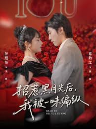 招惹黑月光后，我被一味偏纵