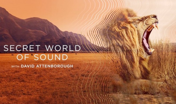 大卫艾登堡大自然的声音