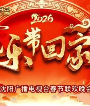2026沈视春晚