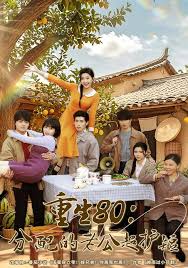 重生八零分配的老公超护短