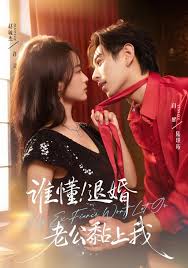 谁懂！退婚老公黏上我