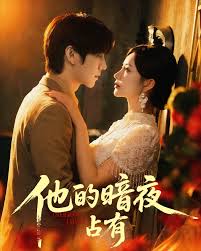 他的暗夜占有