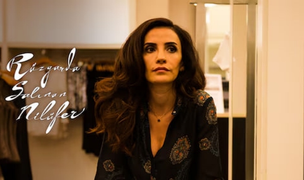 摇曳多姿的睡莲