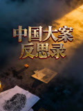 大陆大案反思录