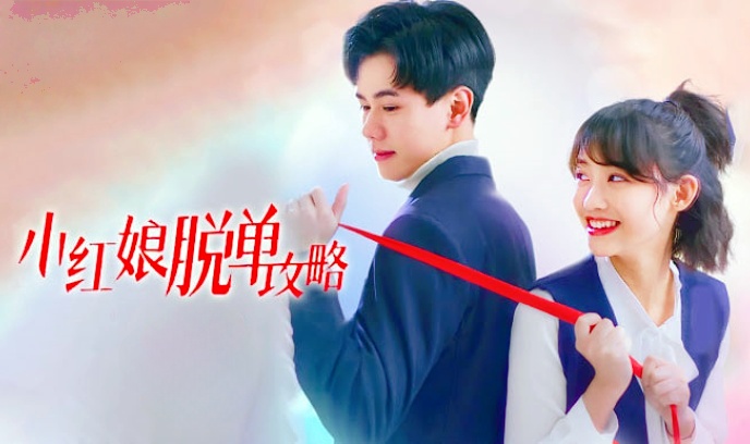 小红娘脱单攻略