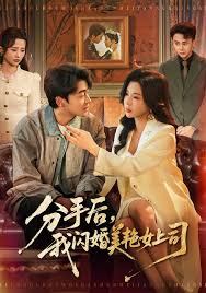 分手当天，女总裁逼我闪婚了