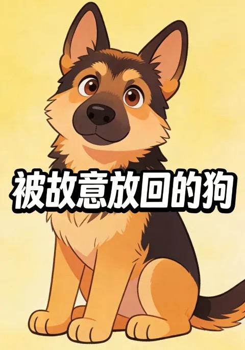 被故意放回的狗