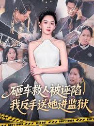 砸车救人被诬陷，我反手送她进监狱