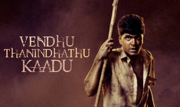 森林经历了酷热炙烤和降温