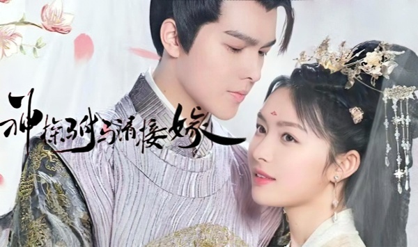 神探驸马请接嫁