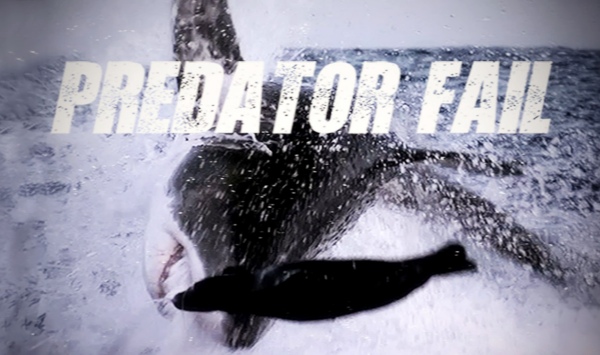 失败掠食者第1季