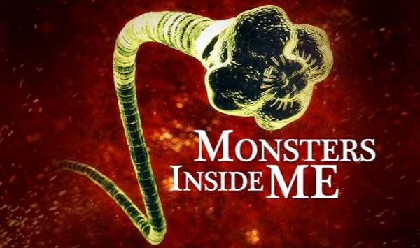 体内的怪物第4季