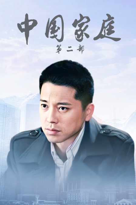 大陆家庭第二部