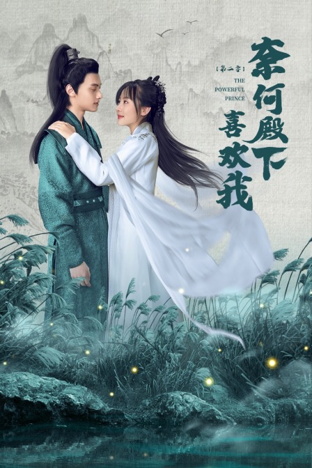 奈何殿下喜欢我第2季