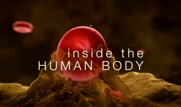 人体奥秘