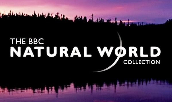 BBC自然世界2010神秘的豹