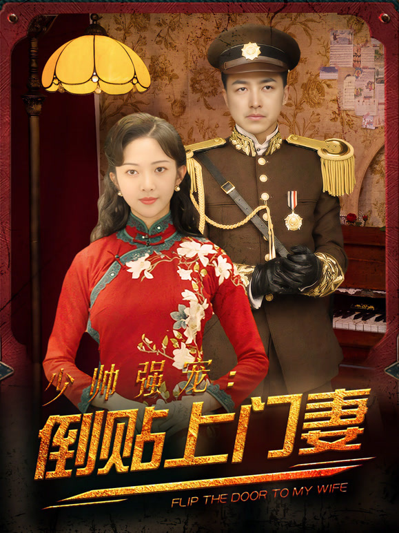 少帅强宠倒贴上门妻