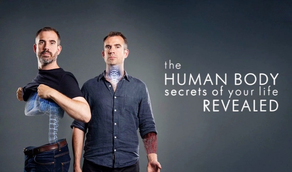 人体生命揭密