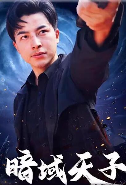 暗域天子