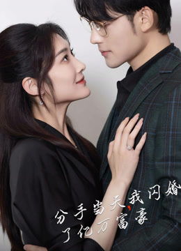 分手当天我闪婚了亿万富豪