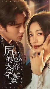 厉总的天价孕妻