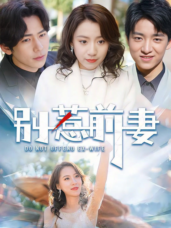 别惹前妻