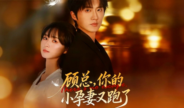 顾总，你的小孕妻又跑了