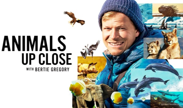 贝尔蒂格雷戈里与动物零距离