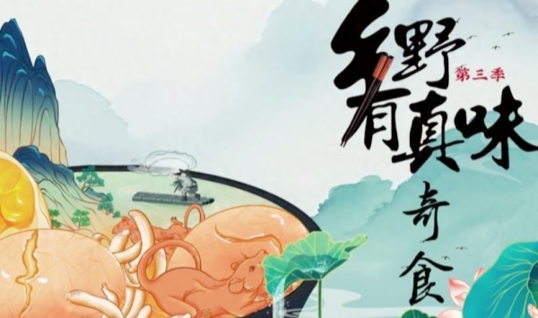 乡野有真味3奇食