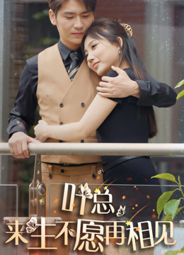 叶总来生不愿再相见