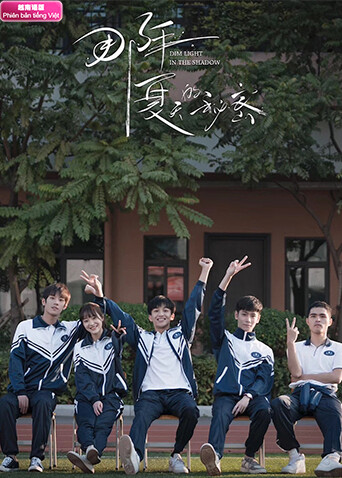 那年夏天的秘密越南语