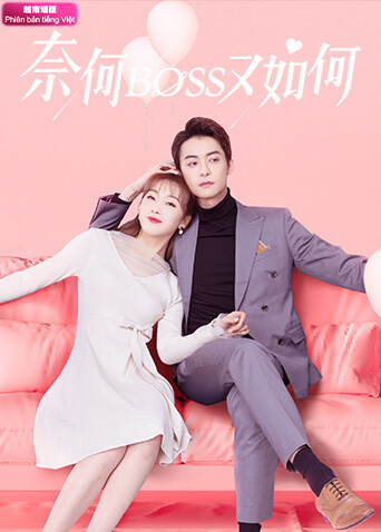 奈何BOSS又如何越南语