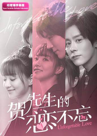 贺先生的恋恋不忘印尼语字幕
