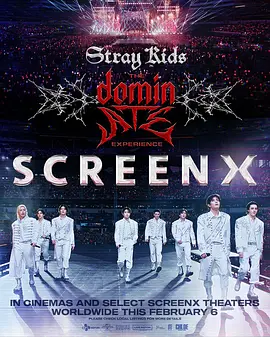 StrayKids主宰一切的体验