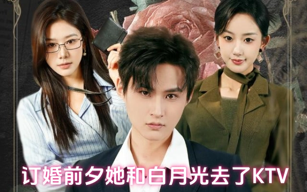 订婚前夕她和白月光去了