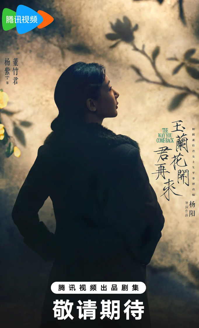 玉兰花开君再来预告