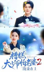 糟糕大少爷怕老婆二虎妻在上