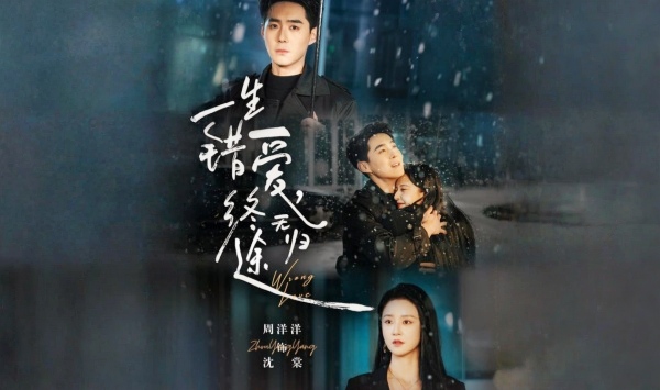 一生错爱，终无归途