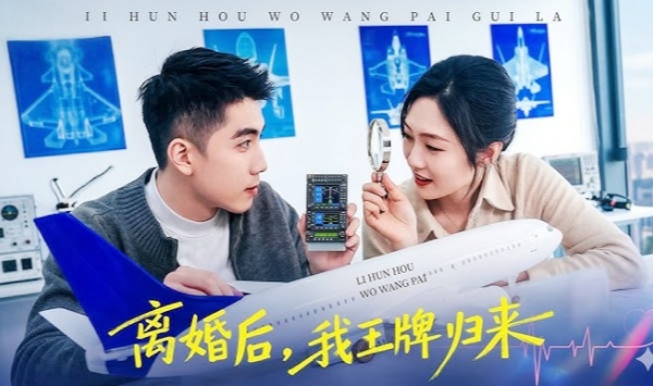 离婚后，我王牌归来