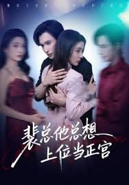 裴总他总上位当正宫