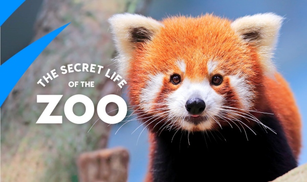 动物园的秘密生活第4季