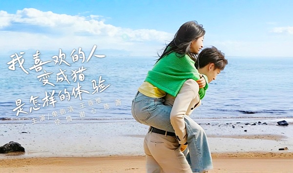 我喜欢的人变成猫是怎样的体验