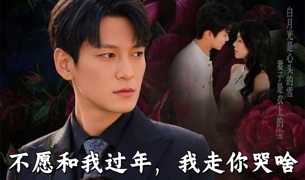 不愿和我过年，我走你哭啥